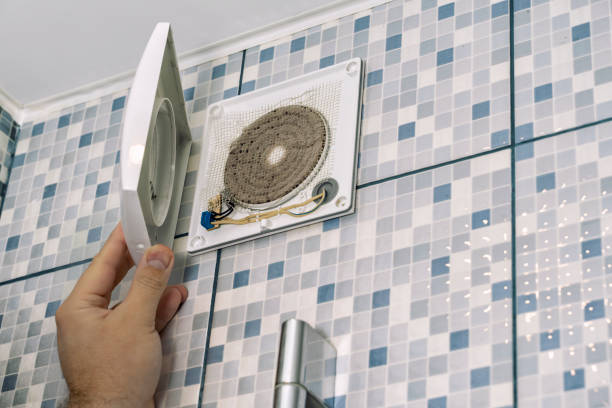 Best Air Duct Cleaning Near Me  in Violet, LA