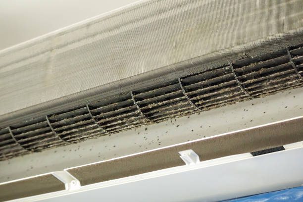 Best HVAC System Cleaning  in Violet, LA